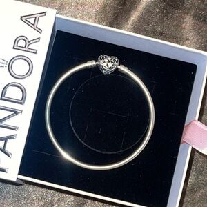 Pandora Charm Bracelet